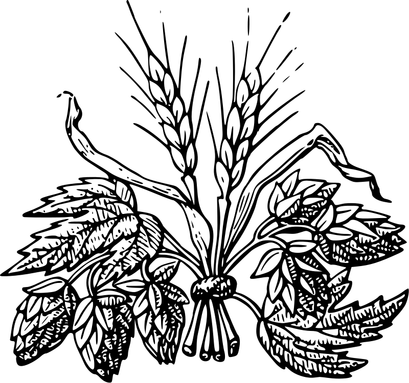 Malz - Siegerländer Bierhaus